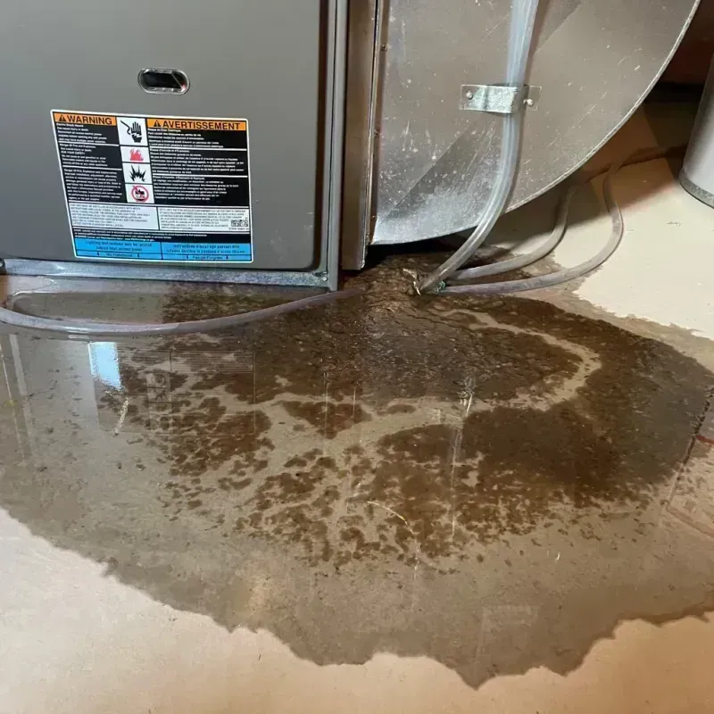 Appliance Leak Cleanup in Aurora, MO